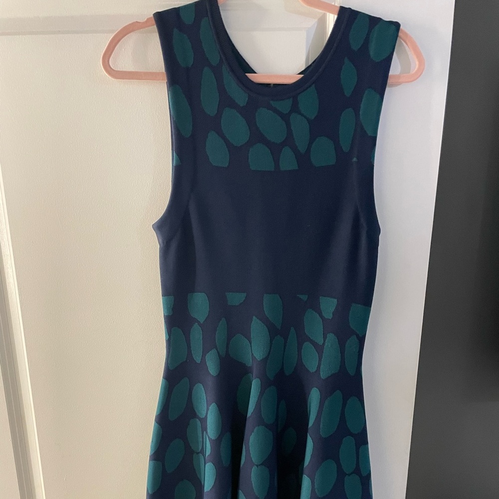Issa mini dress